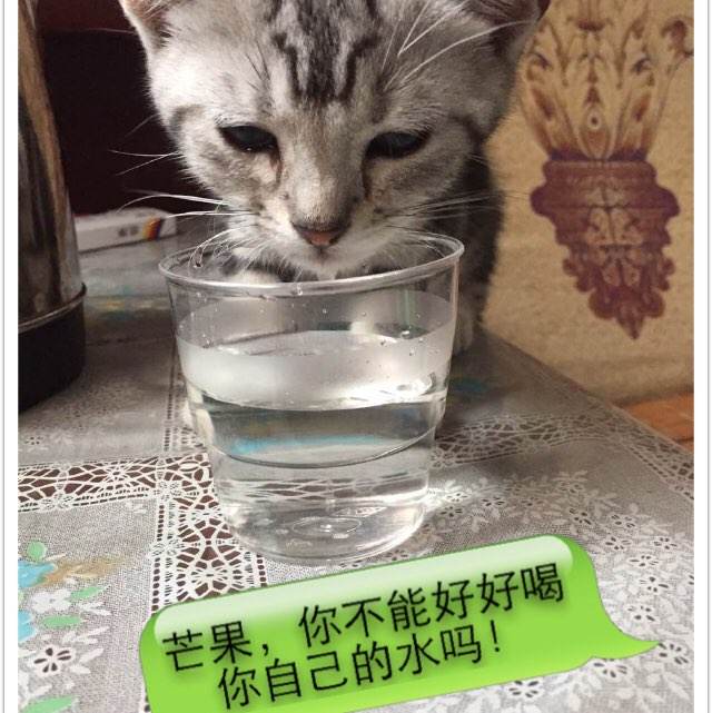 优内西洋大学diploma购买